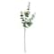 Tige d'eucalyptus vert foncé de 32 pouces par Ashland